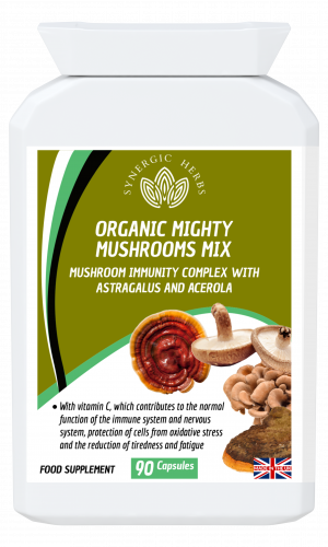ORGANIC MIGHTY MUSHROOMS MIX